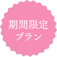 期間限定プラン