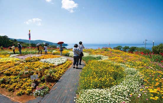 第8回 夢追い 長島 花フェスタ
