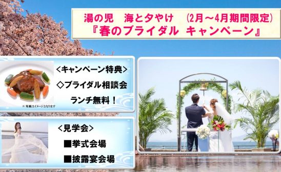 春のブライダルキャンペーン実施中!