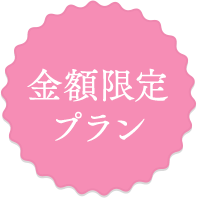 金額限定プラン