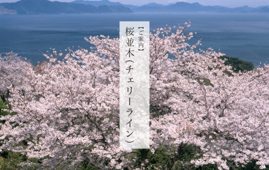 『湯の児チェリーライン』のご案内